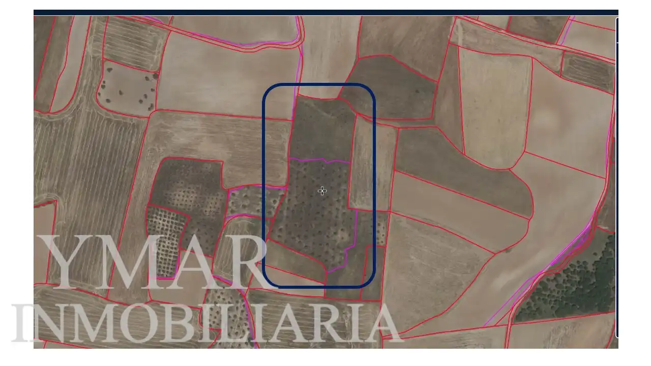 Land for sale in Santo Domingo-Caudilla
