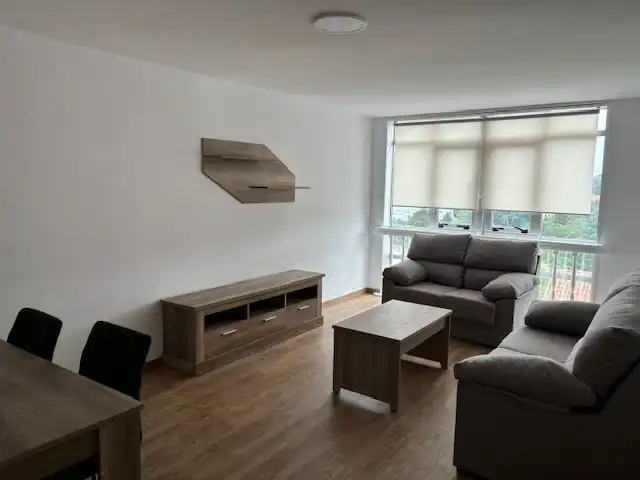 Sala d'estar de Pis de lloguer en Santiago de Compostela  amb Moblat, Forn i Rentadora