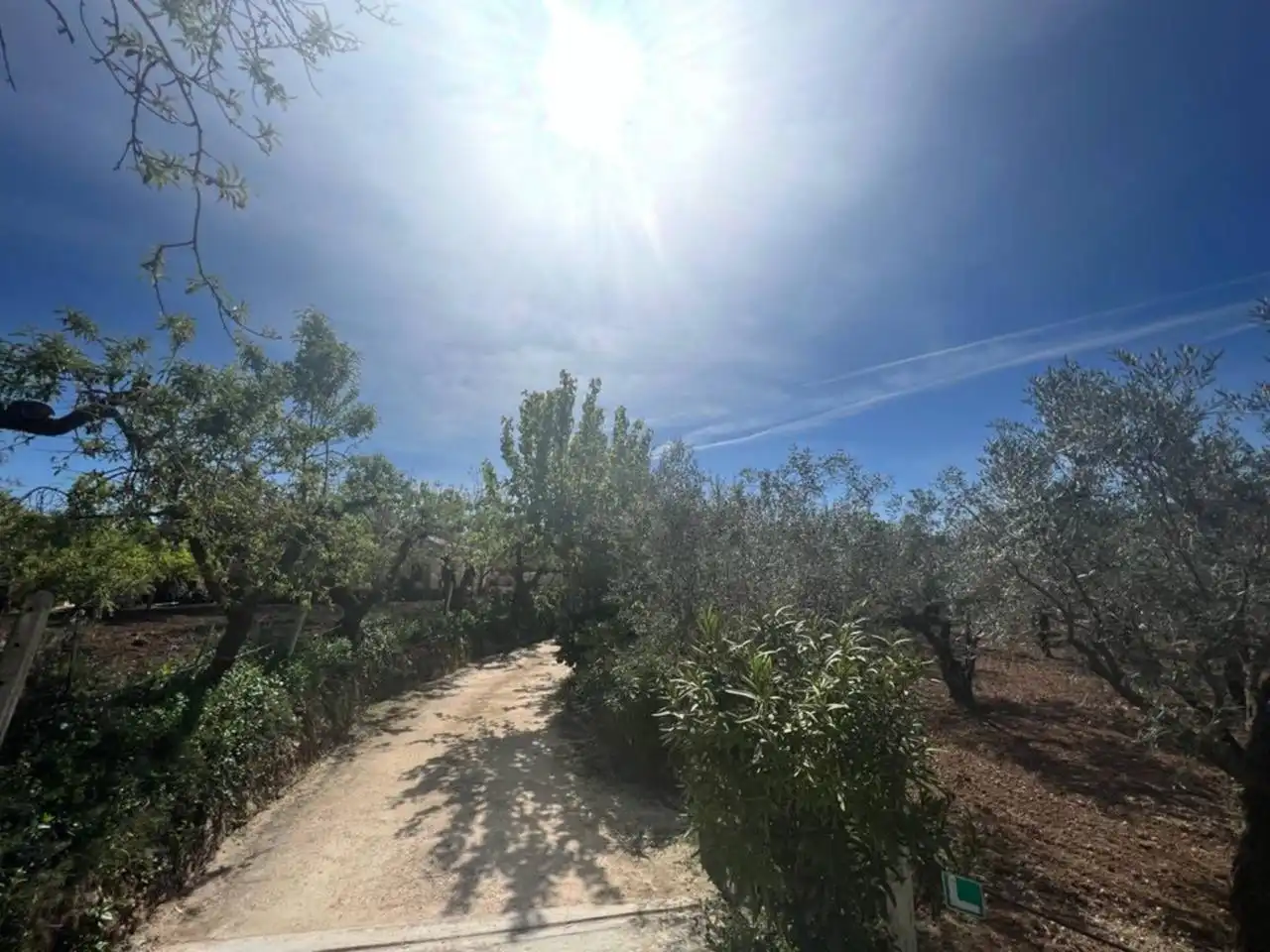 Chalet con jardín en venta en Calle Poligono, imagen 176