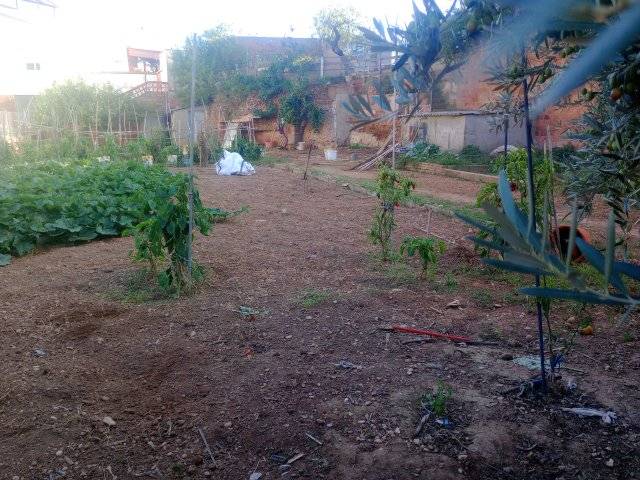 Terreno residencial en Venta en La Plana