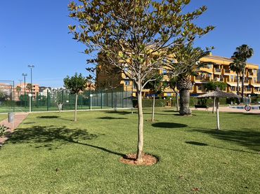 Apartamento con ascensor en venta en Centro Urbano
