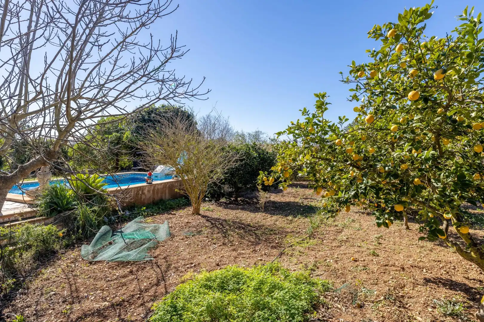 Garten von Haus oder Chalet zum Verkauf in Manacor mit Klimaanlage, Privatgarten und Terrasse