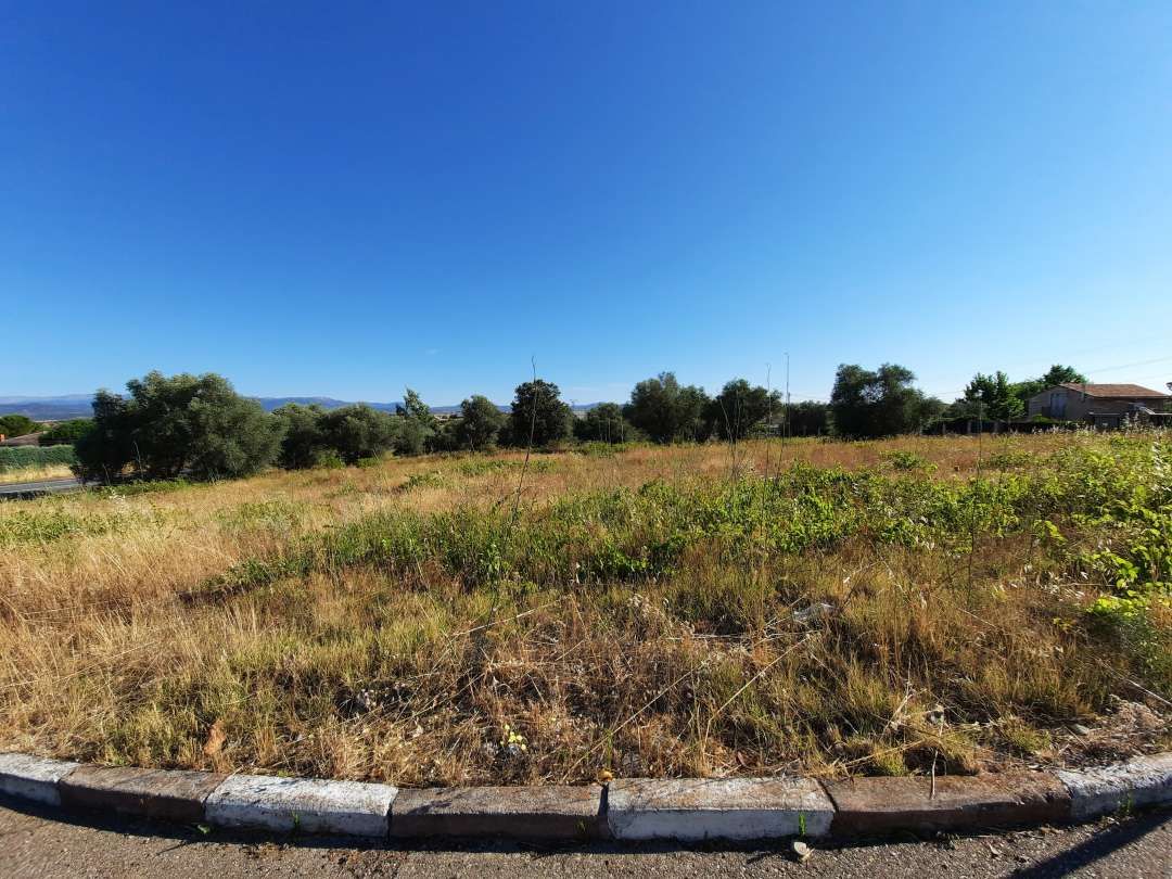 Industrial land for sale in Escalona