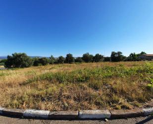 Industrial land for sale in Escalona