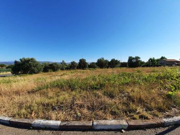 Terreno industrial en venta en Escalona