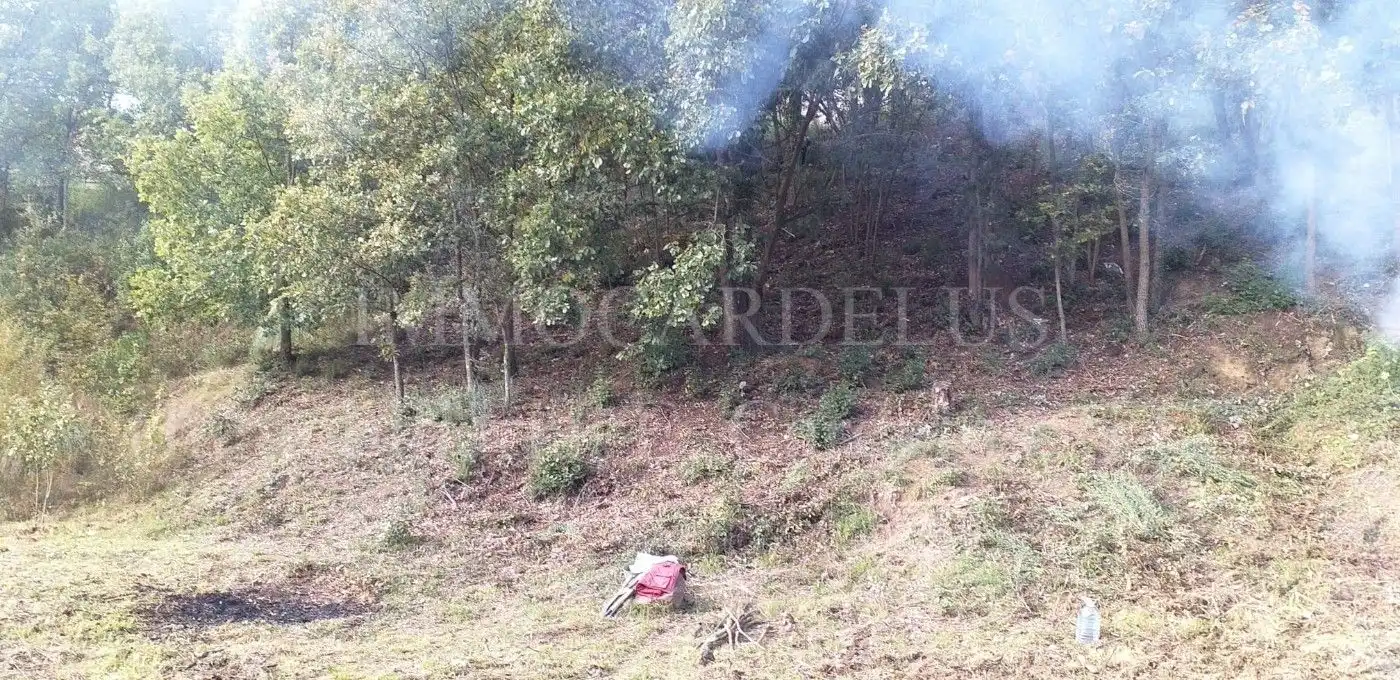 Terreny residencial en venda a Riells i Viabrea, imagen 5