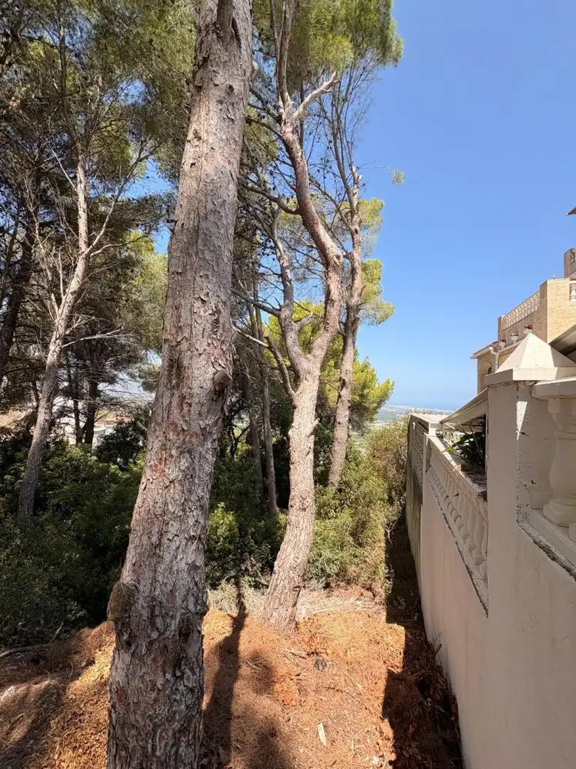 Terreny residencial en venda a La Font d'en Carròs, imagen 5