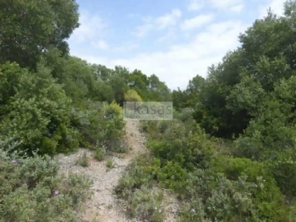 Grundstücke und Bauplätze zum Verkauf in El Rocío - La Milagrosa, imagen 2
