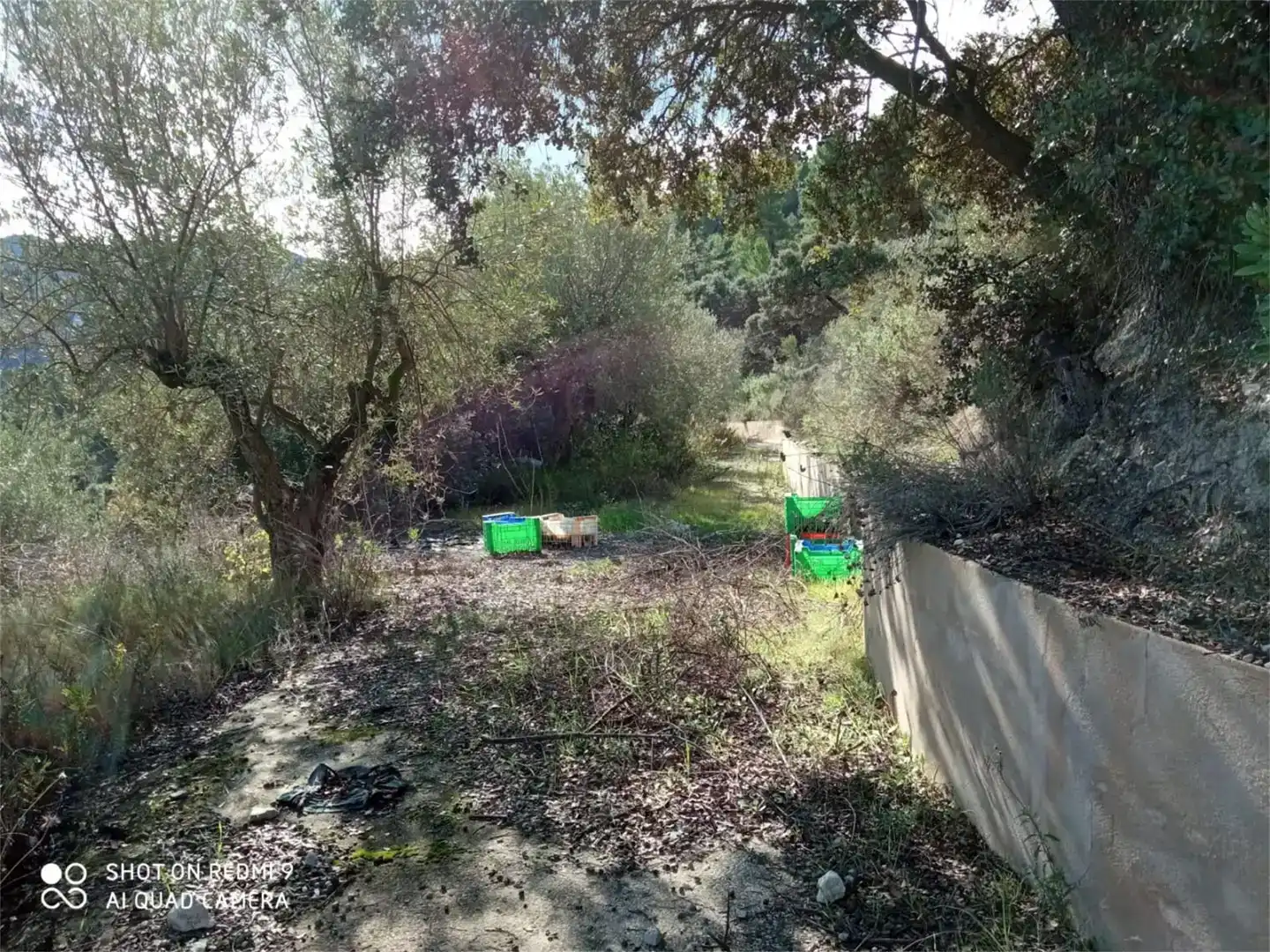 Terreno en venta en Balones