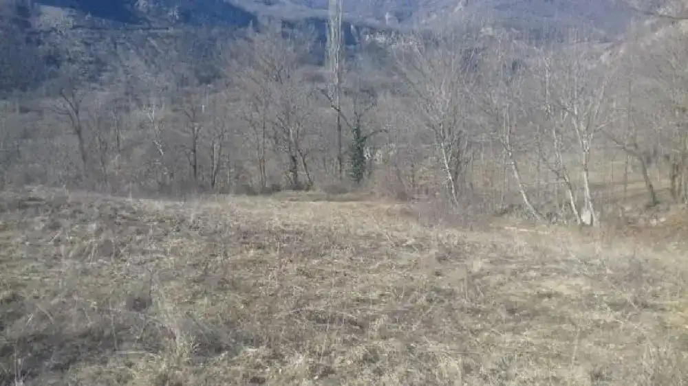 Terreni e lotti in vendita a Sesué, imagen 2