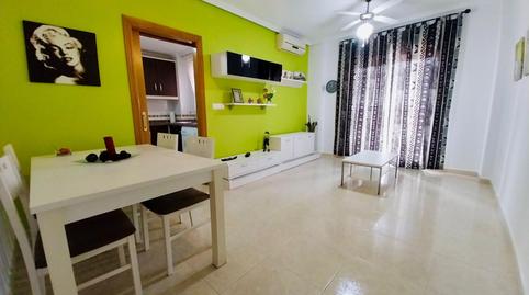 Foto 3 de Planta baixa de lloguer a  Sacerdote Ant Roca Moñino, 8, Puerto Deportivo, Guardamar del Segura