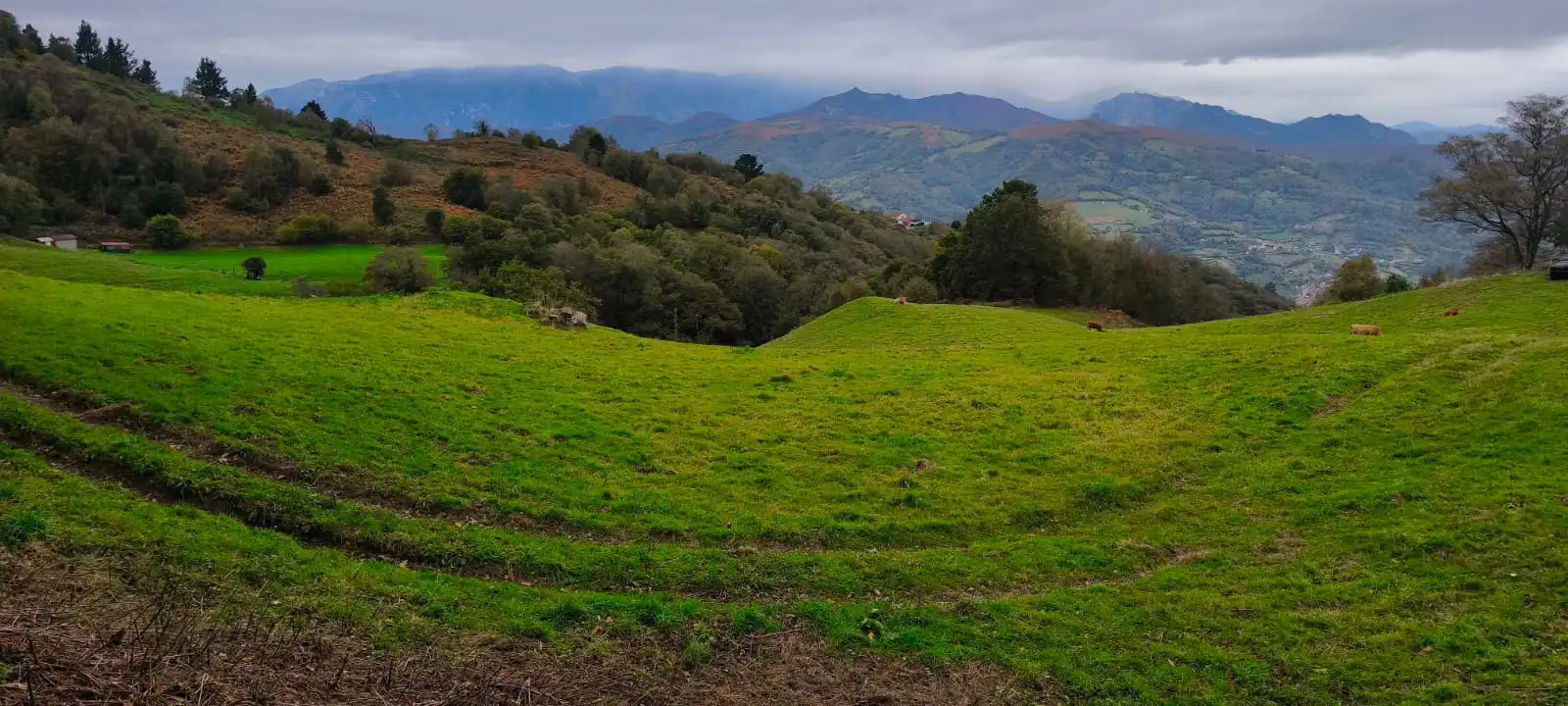 Casa o xalet en venda en Mieres (Asturias) amb Jardí privat, Terrassa i Traster