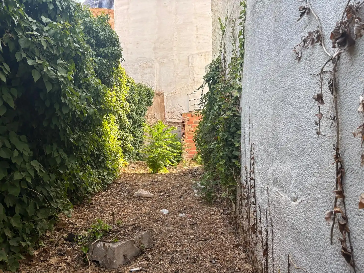 Terreny rústic en venda a Aspe Centro, imagen 5