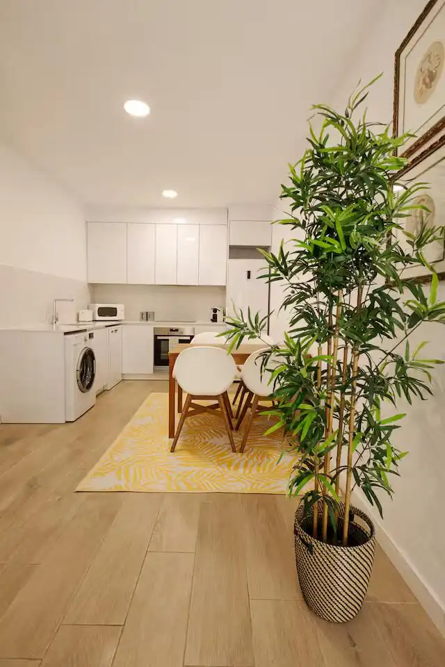 Küche von Wohnung zur Miete in Centro
