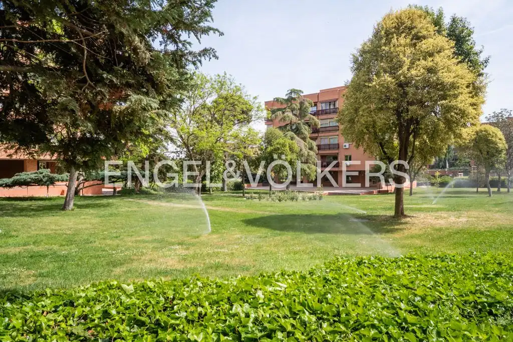 Jardí de Pis de lloguer en Madrid amb Aire condicionat, Calefacció i Traster