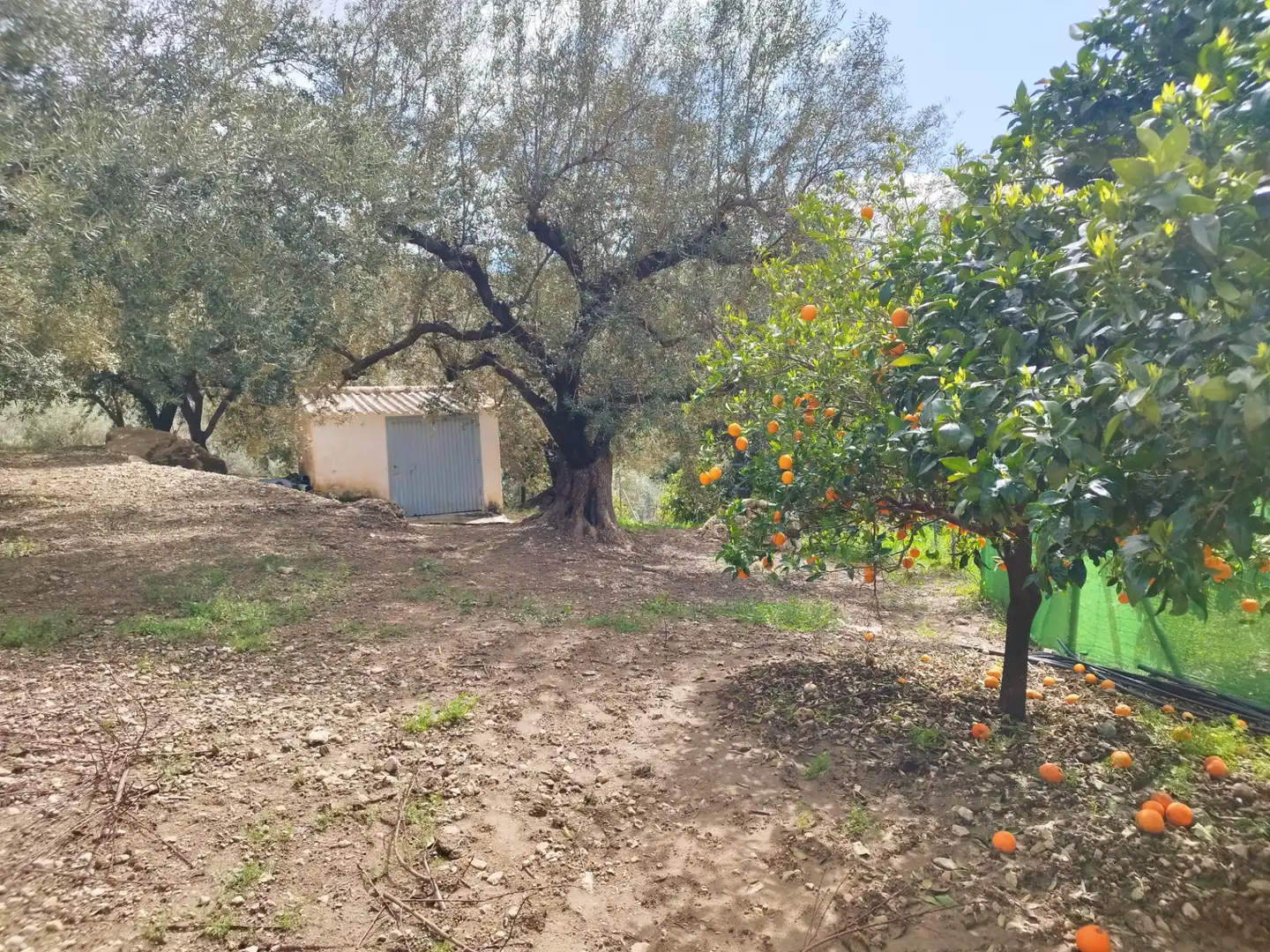 Habitatge amb terrassa en venda a Carretera Torre del Mar, imagen 38