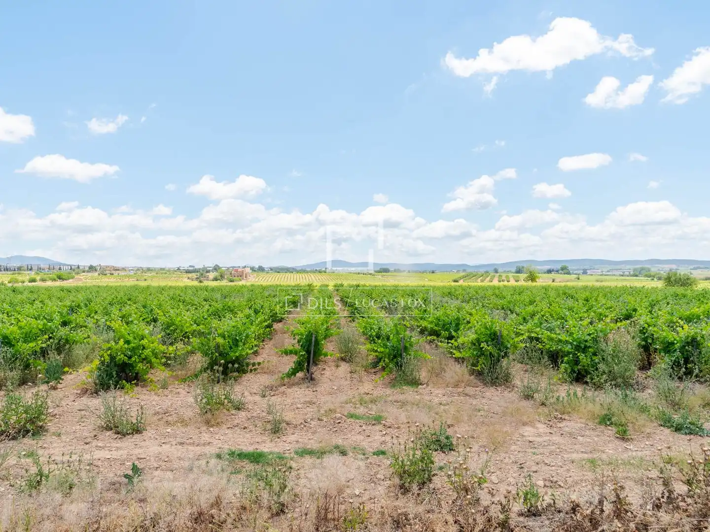 Finca rústica en venda en Requena amb Calefacció, Jardí privat i Terrassa
