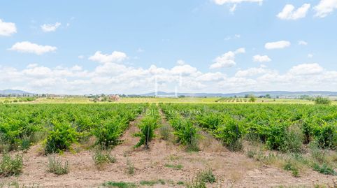 Foto 3 de Finca rústica en venda a Requena, Valencia