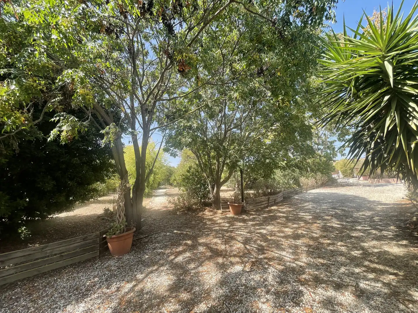 Finca rústica en venda a Diseminado Poligono 27, 78, Casalpalma - Fahala