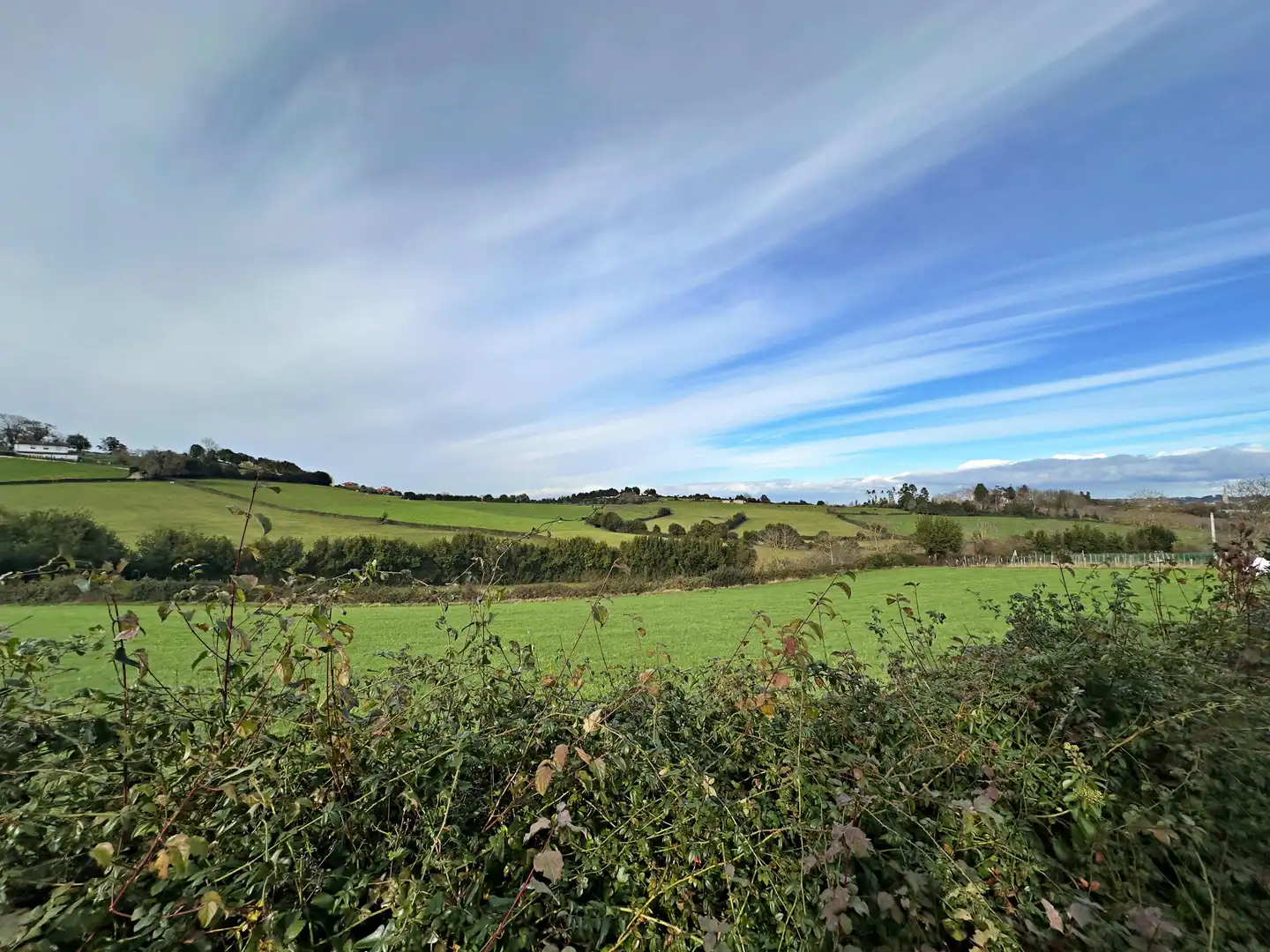 Terreno residenziale in vendita a Rural, imagen 7