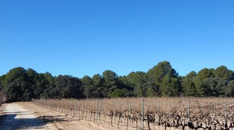 Foto 2 de Residencial en venta en El Pilar, Valencia