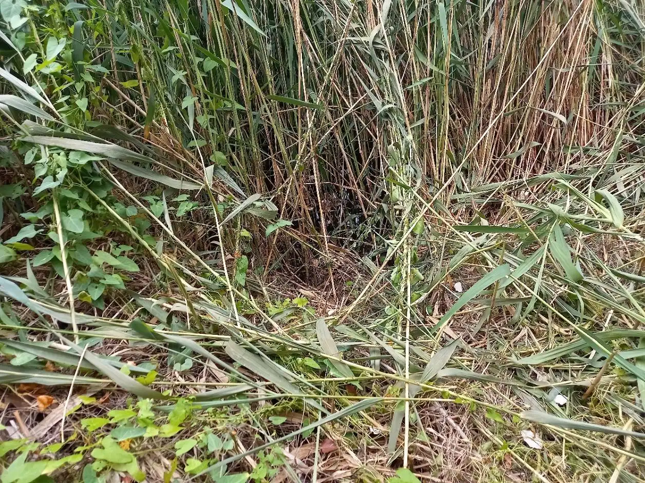 Terrenys i solars en venda a Miravet, imagen 21