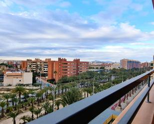 Vista exterior de Pis de lloguer en Elche / Elx amb Aire condicionat, Calefacció i Jardí privat