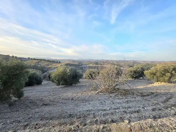 Finca rústica en venta en Lorca