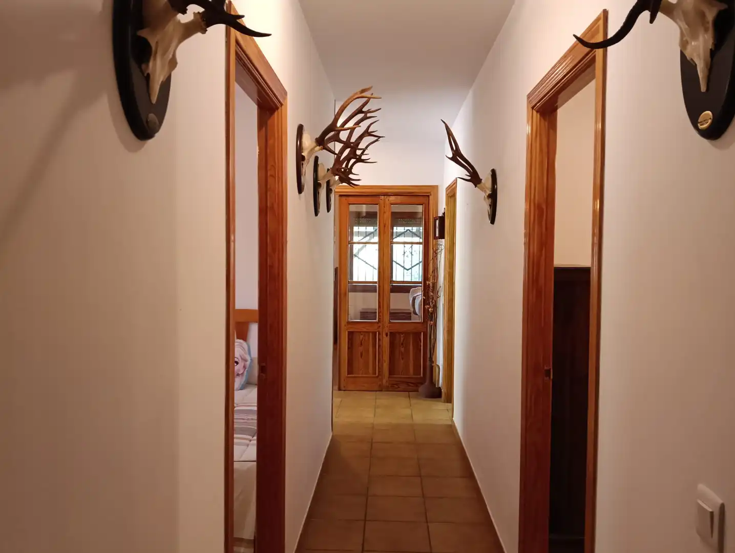 Casa o chalet en venta en Calle Río Henares, Illana