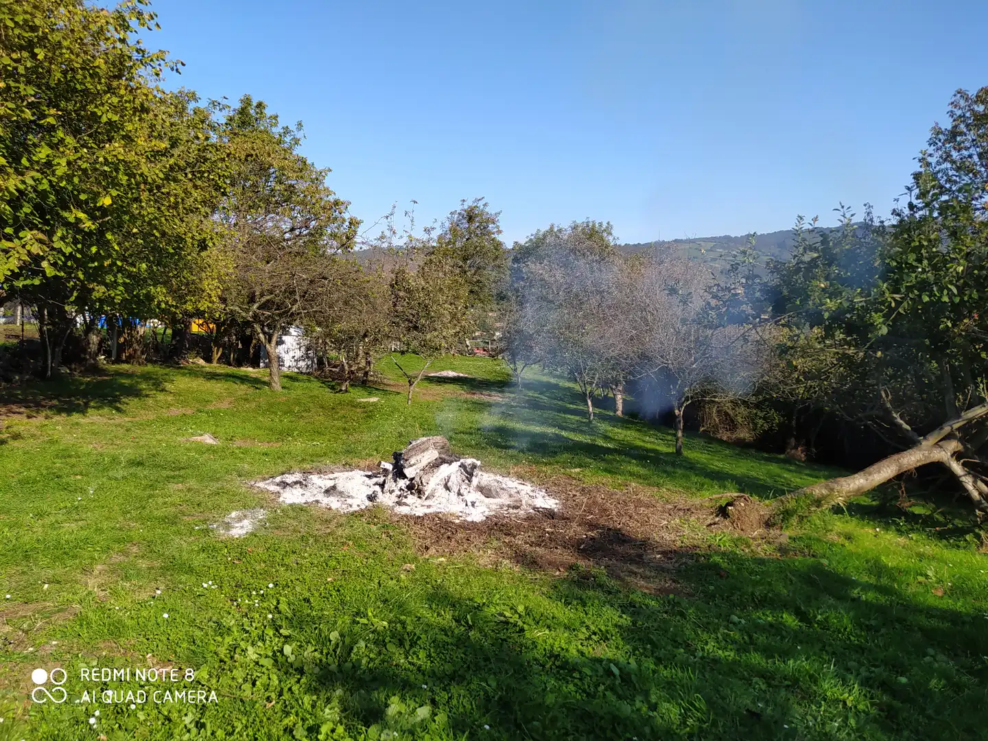 Jardí de Residencial en venda en Gijón 