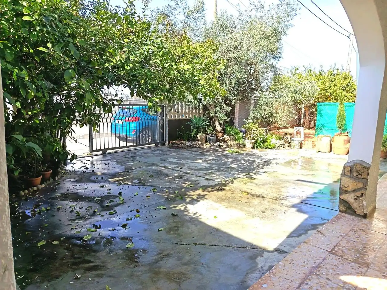 Garden of Houses for sale in Oliva