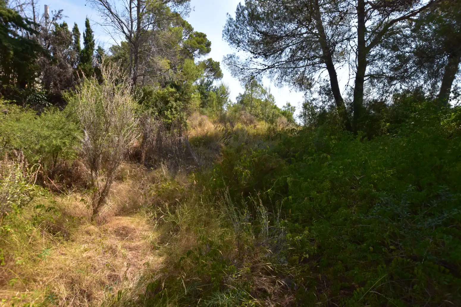 Terreno rústico en venta en Picassent - CL COVA FUMÀ, imagen 16