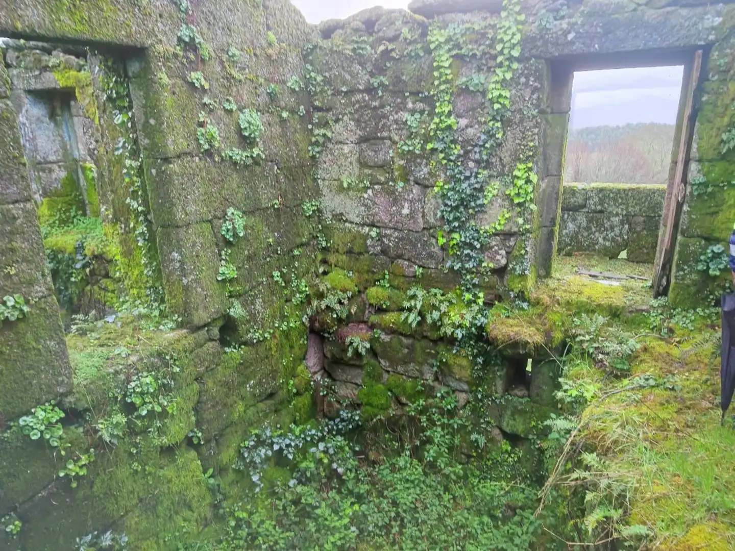 Terreno rustico in vendita a Ponte Caldelas, imagen 14