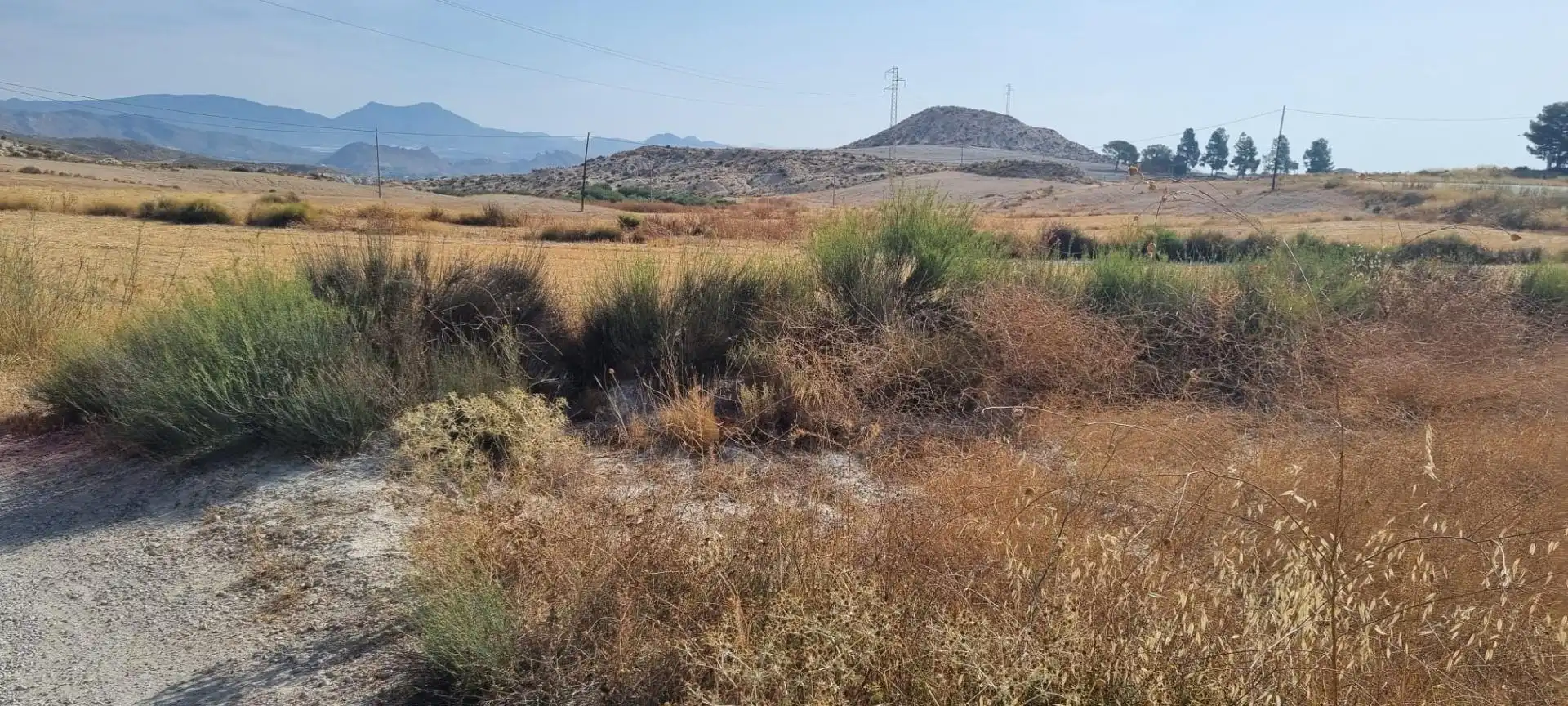 Lands and plots for sale in Mula, imagen 5