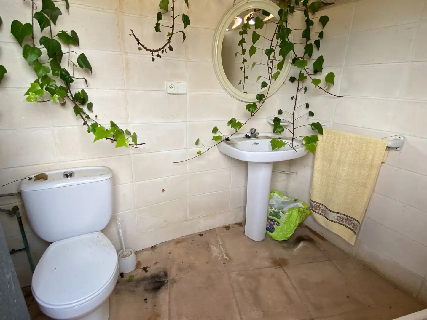 Casa o chalet en venta en Sax