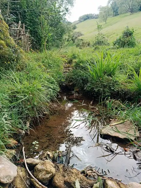 Terreno rustico in vendita a Proaza, imagen 35