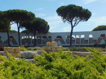 Xalet amb jardí en venda a Avenida Picos de Europa 60