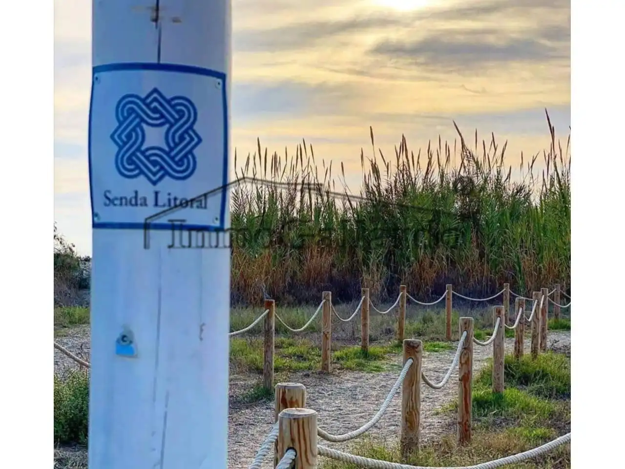 Vista exterior de Ático en venta en Torrox con Aire acondicionado, Terraza y Amueblado