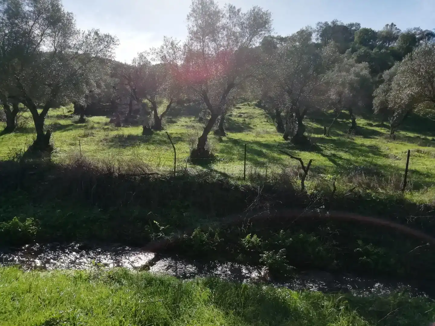 Terreno en venta en Cumbres Mayores, Huelva