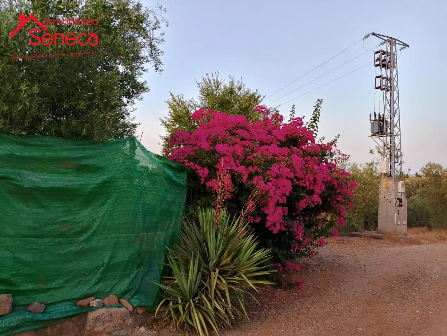 Garden of Houses for sale in Montoro  with Air Conditioner and Furnished