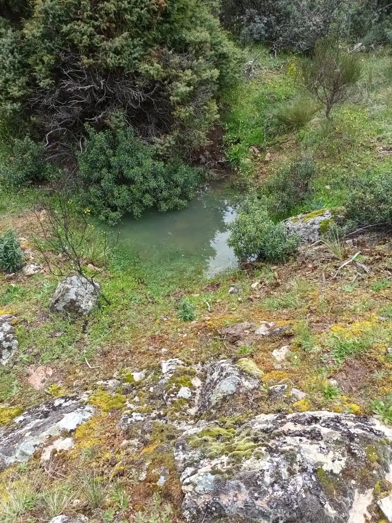 Terreno rustico in vendita a Collado Mediano, imagen 4