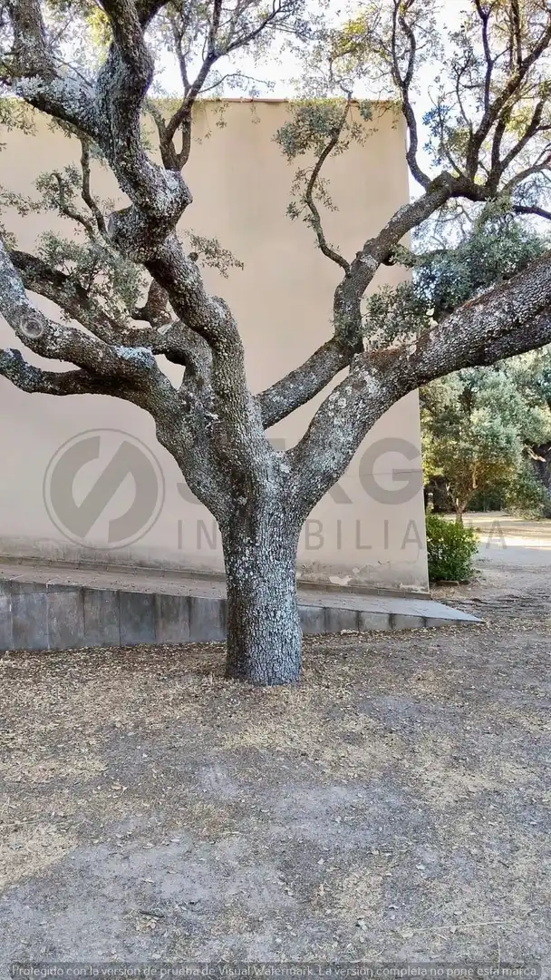 Vista exterior de Casa o xalet en venda en Navas de Riofrío amb Calefacció, Jardí privat i Traster
