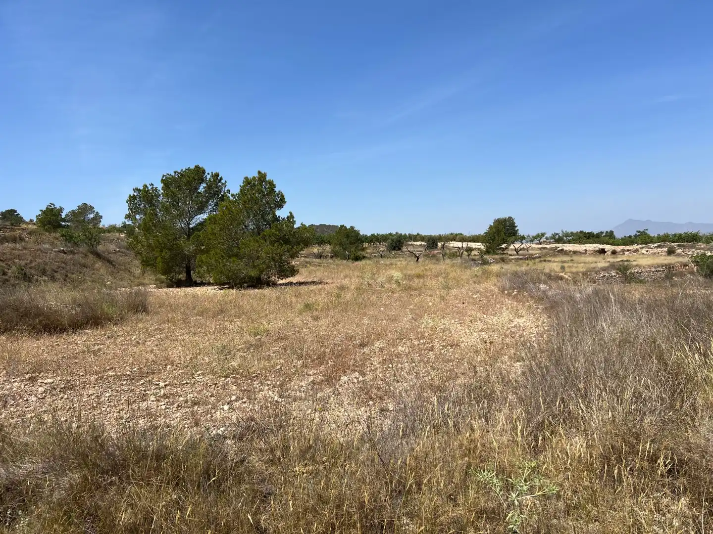 Terreny residencial en venda a La Murada - Los Vicentes, imagen 4