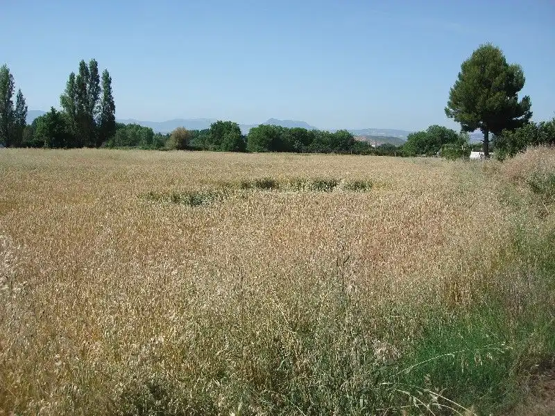 Terreny rústic en venda a Villamediana de Iregua, imagen 2