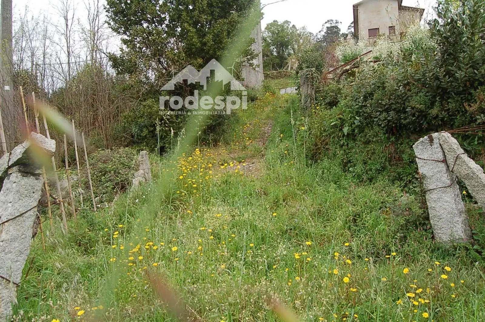 Terrain rustique à vendre à As Neves, imagen 6