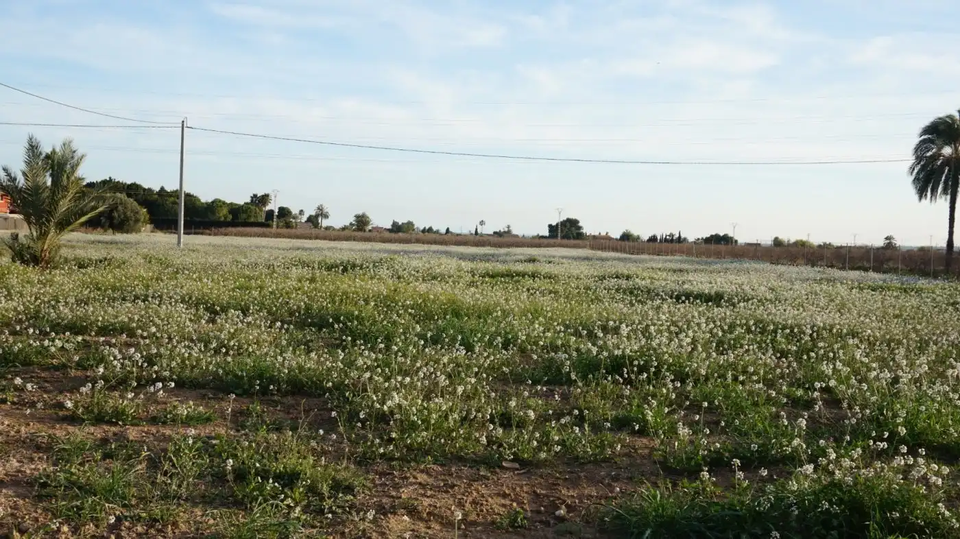 Terreno residencial en venta en Las Bayas, imagen 5