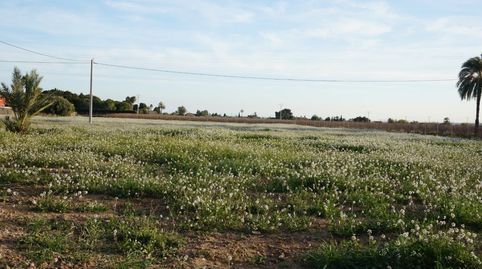 Foto 5 de Residencial en venta en Las Bayas, Elche / Elx