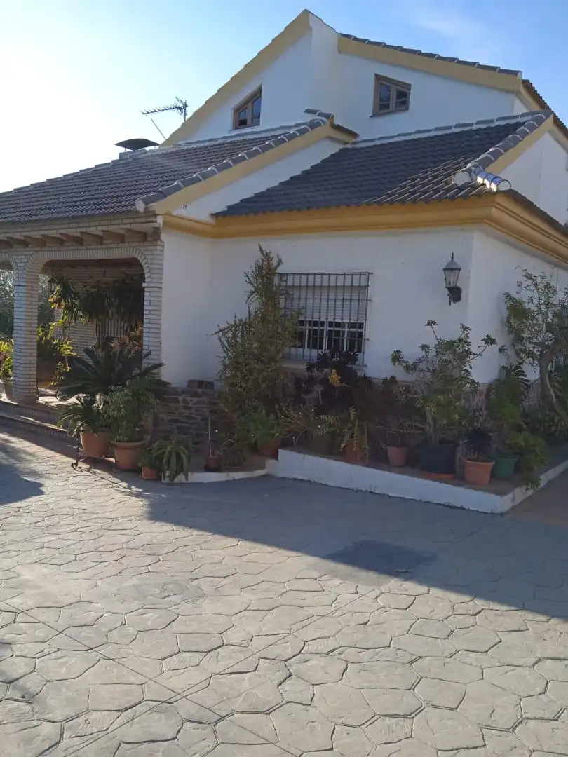 Xalet amb jardí en venda a Calle Sócrates 22, imagen 4