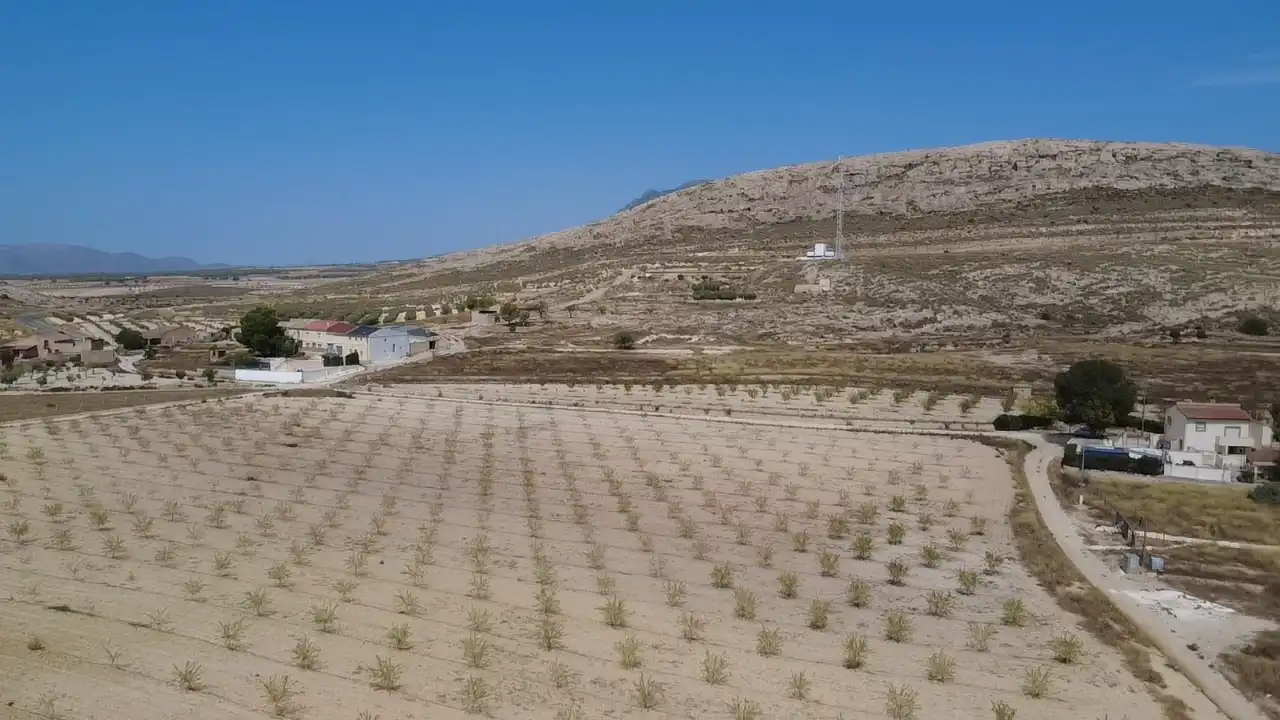Country homes for sale in Jumilla