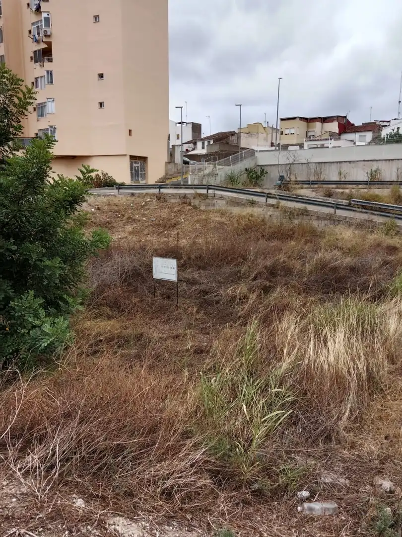 Terreny rústic en venda a Avda. de la Pau, imagen 3